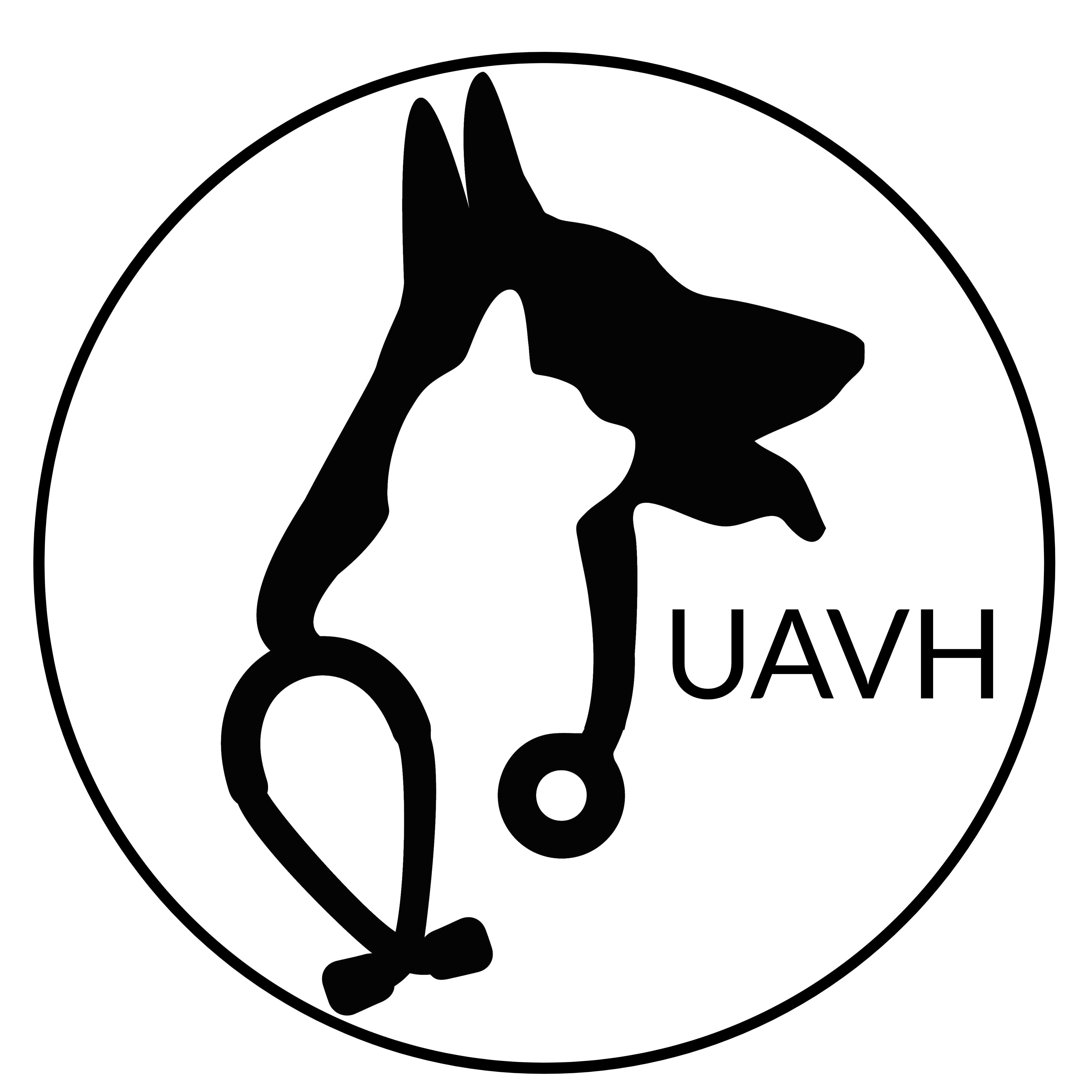 Union Ave Veterinary Hospital - Veterinarian in Tacoma, WA
